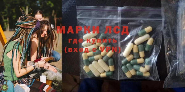 гашик Медногорск